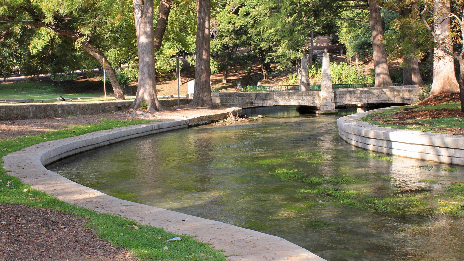Comal River flowing through Landa Park in New Braunfels, Texas