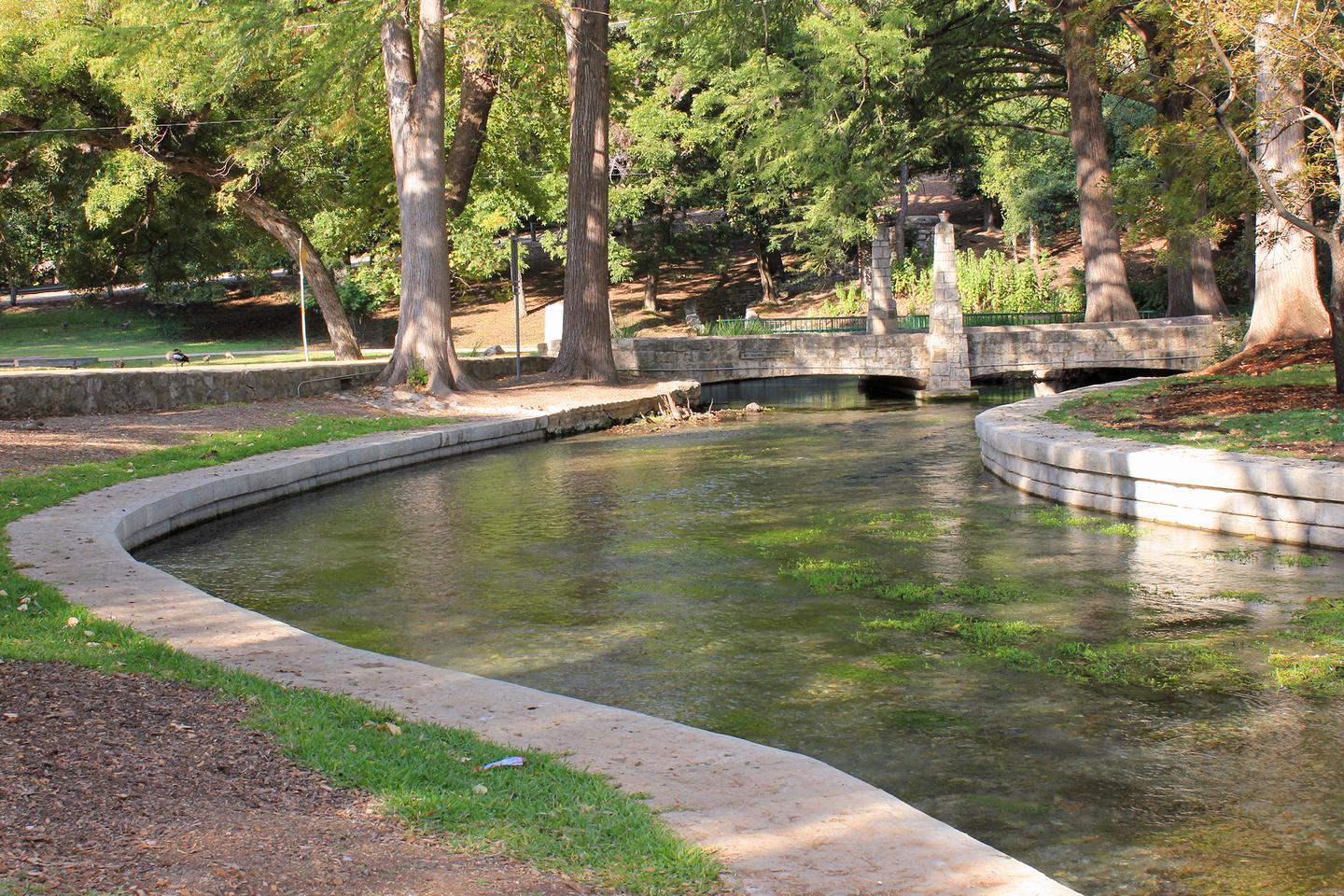 The Comal River flowing through Landa Park in New Braunfels, Texas
